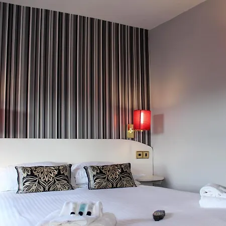 The Dragon At By Oyo